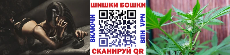 Купить закладки  Снежногорск  Канабис индика 
